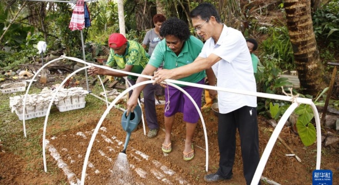 通訊｜“菌草成就了我們的夢想”——斐濟婦女卡布卡布結緣中國菌草